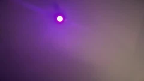 Snapshot of daquim chatting on November 12, 11:14 pm daquim online show from November 12, 11:14 pm