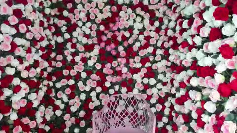 dara_johnson online show from September 14, 12:59 pm