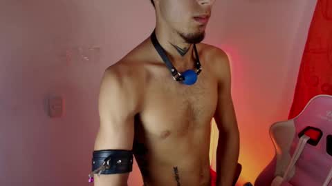 Snapshot of dark_rosse1 chatting on February 12, 2:28 am rosse online show from February 12, 2:28 am