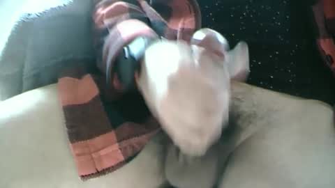 Snapshot of dartrok chatting on February 17, 12:59 pm Dartrok online show from February 17, 12:59 pm