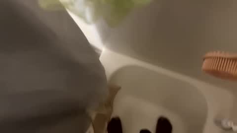 dasquirtmaster online show from March 29, 10:43 pm