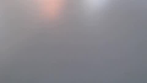 davdao3 online show from March 19, 7:01 am