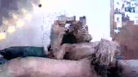 David Berry online show from February 16, 2:10 pm