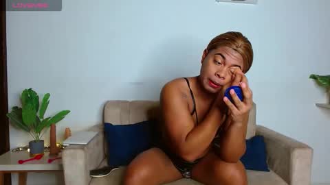 Noha online show from February 26, 10:03 am