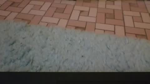 David online show from April 3, 4:05 pm