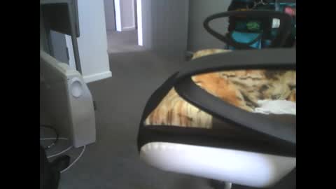 Snapshot of dazzle68 chatting on March 14, 10:48 pm Dazzle68 online show from March 14, 10:48 pm