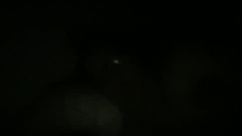 dbdude71 online show from January 25, 12:37 pm