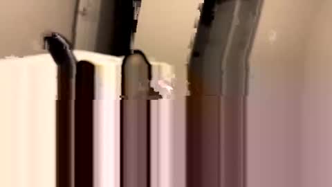 dbikes182 online show from January 3, 9:58 am