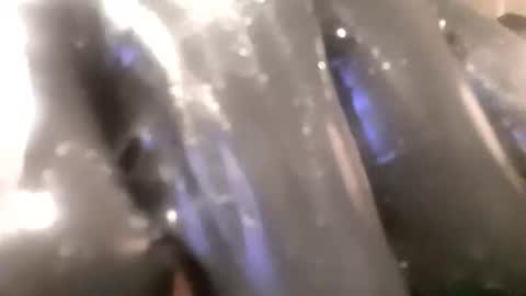 Snapshot of ddick0303 chatting on November 14, 4:00 am ddick0303 online show from November 14, 4:00 am