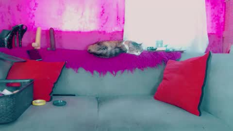 deboragill online show from March 13, 10:05 pm