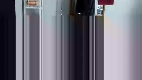 decoyx5o5 online show from March 3, 6:33 pm