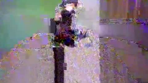 Snapshot of dee4dayz19 chatting on June 1, 1:51 am Dee4dayz online show from June 1, 1:51 am