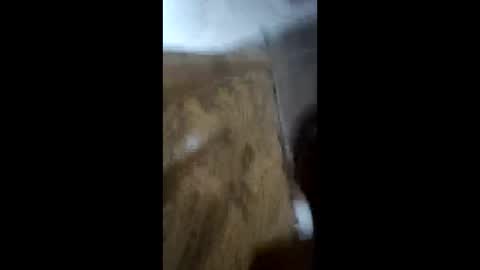 Snapshot of deeek56 chatting on March 24, 4:28 am deeek56 online show from March 24, 4:28 am