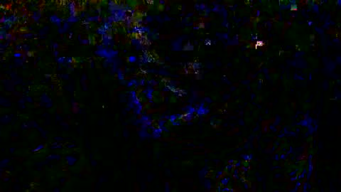 Eva and Adam online show from December 26, 8:50 am