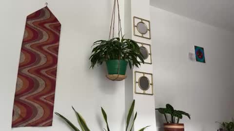 Snapshot of desidias chatting on October 22, 9:03 pm Desidias online show from October 22, 9:03 pm