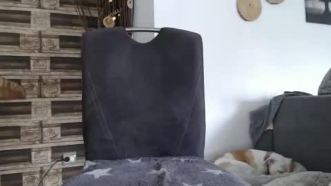 despotar123 online show from October 7, 11:18 am