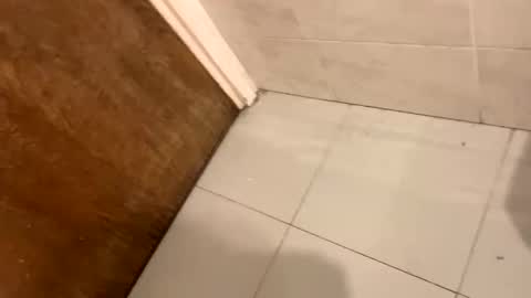 destrosandotelculo online show from November 9, 8:45 am