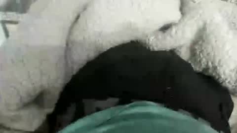 destrosandotelculo online show from November 28, 12:02 am