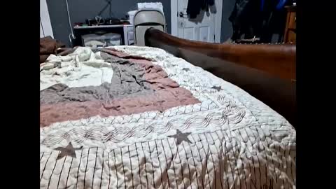 desturbingdetale699 online show from September 10, 8:03 am