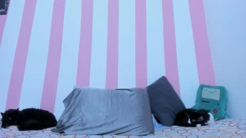 Snapshot of devilangel_29 chatting on March 17, 2:16 am Johana online show from March 17, 2:16 am