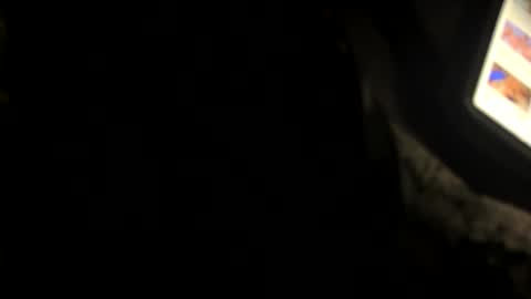 dfcbeibi19 online show from November 16, 10:43 am