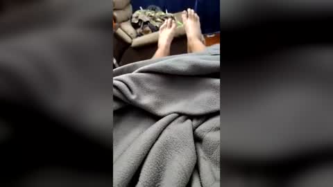 Snapshot of dhorne8833 chatting on July 19, 6:44 pm dhorne8833 online show from July 19, 6:44 pm