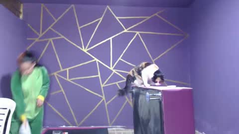 Snapshot of diana_smit_ chatting on January 12, 8:14 pm diana online show from January 12, 8:14 pm