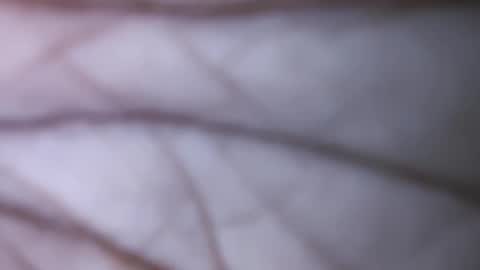 Dick balls online show from December 1, 7:47 pm