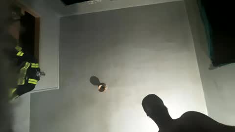 Snapshot of dickybigball chatting on October 9, 11:52 am dickybigball online show from October 9, 11:52 am