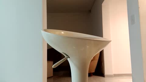 Diego online show from January 15, 9:58 am