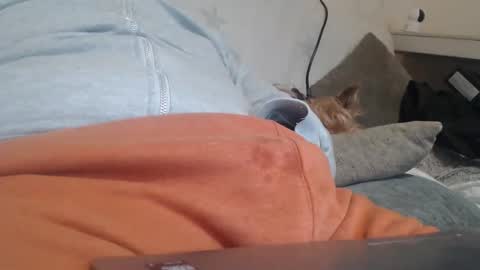 Snapshot of diegovlc chatting on March 20, 11:37 am DiegoVLC online show from March 20, 11:37 am