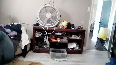 Snapshot of dig_bick_38 chatting on March 19, 8:46 pm Daddy online show from March 19, 8:46 pm