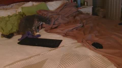 dildosnme22 online show from December 18, 9:15 am