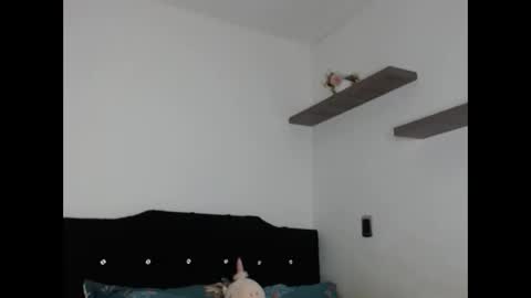 diluka alisson online show from January 9, 7:11 am