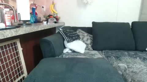 Snapshot of dimepiecexxx chatting on December 23, 8:33 am Sofie online show from December 23, 8:33 am