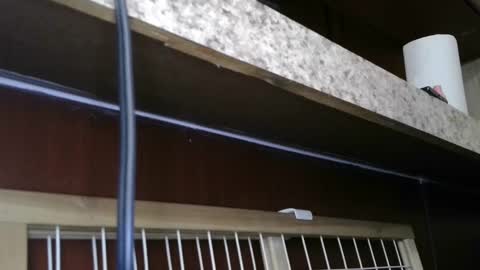 Snapshot of dimepiecexxx chatting on February 28, 5:48 pm Sofie online show from February 28, 5:48 pm