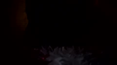 dingler523482 online show from December 17, 6:41 am