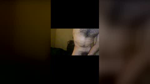 Snapshot of dinglerdingler chatting on February 12, 3:23 am Dingler online show from February 12, 3:23 am