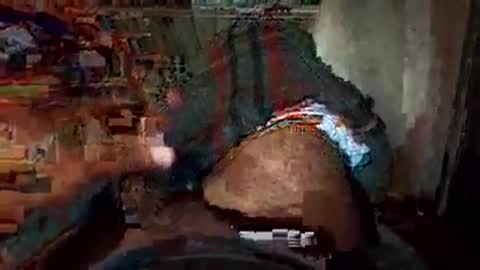 dyno online show from November 22, 2:10 am