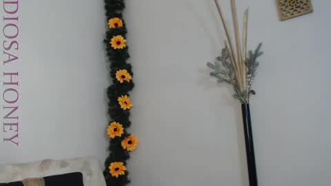 Snapshot of diosa_honey chatting on January 29, 8:46 pm Diosa online show from January 29, 8:46 pm