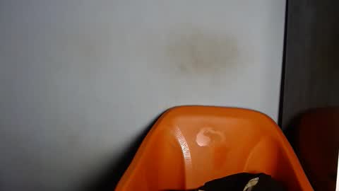 dirtydesirebabe online show from April 2, 2:20 am