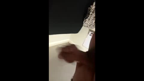 disidente1978 online show from April 1, 2:34 am