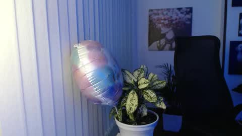 Hera online show from November 8, 10:04 am