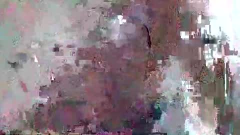 djentlemen1 online show from November 1, 10:50 am