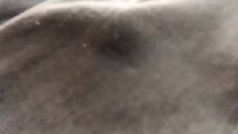 dlov3 online show from February 8, 10:13 pm