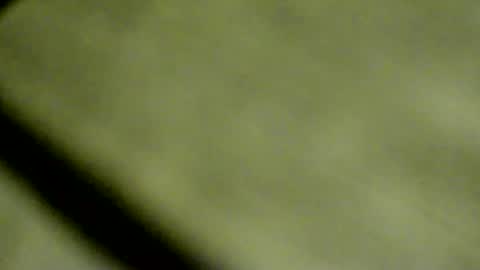 Doby online show from April 8, 9:48 pm