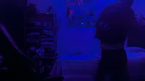 Dogboi online show from June 25, 4:34 am