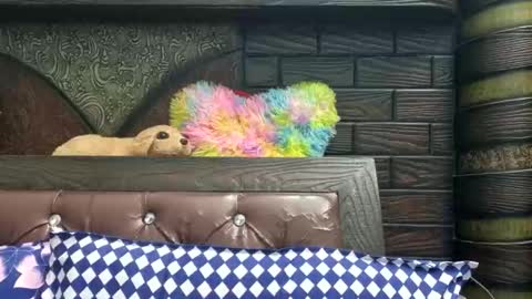 dollmeenu online show from November 21, 6:45 am