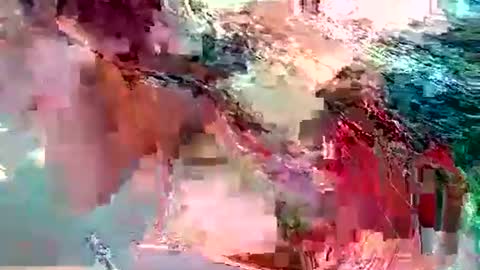 dolly_joana online show from November 10, 12:26 pm