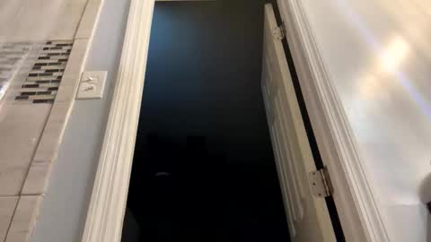 Snapshot of dolphin22356 chatting on February 24, 9:40 am Ben Dover online show from February 24, 9:40 am